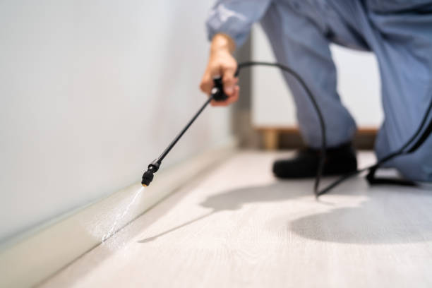 Licensed Pest Control service in Richlands, NC - Show Me Pest Control