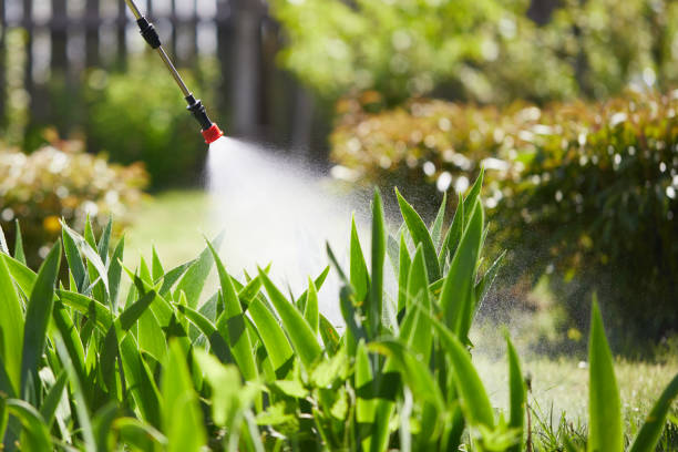 Tamper-Resistant Bait Stations for Rodents in Richlands