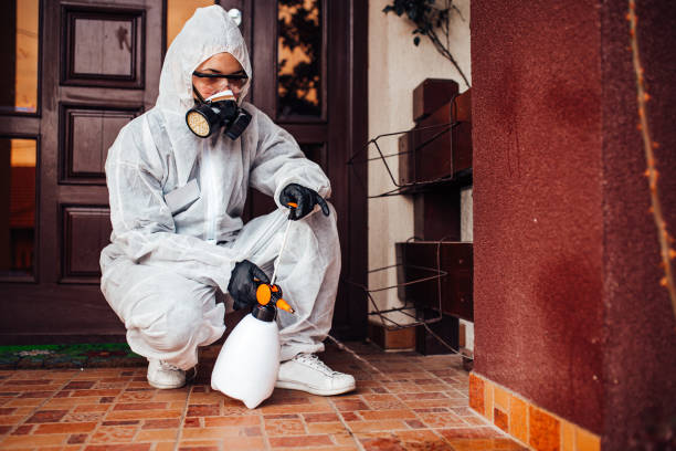 Attic and Crawl Space Rodent Treatment in Richlands