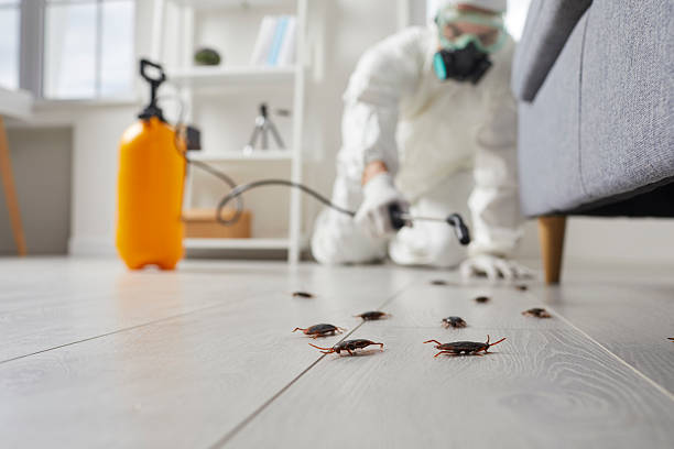 Commercial Rodent Management in Richlands